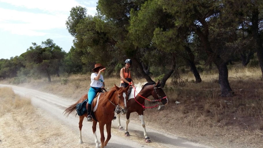 alquiler-caballo