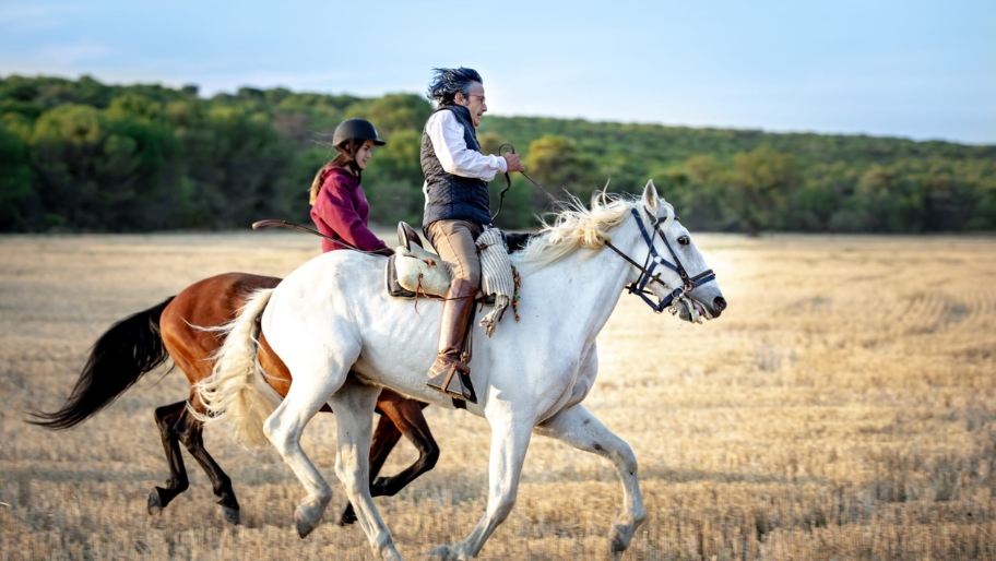 alquiler-caballos-en-zaragoza