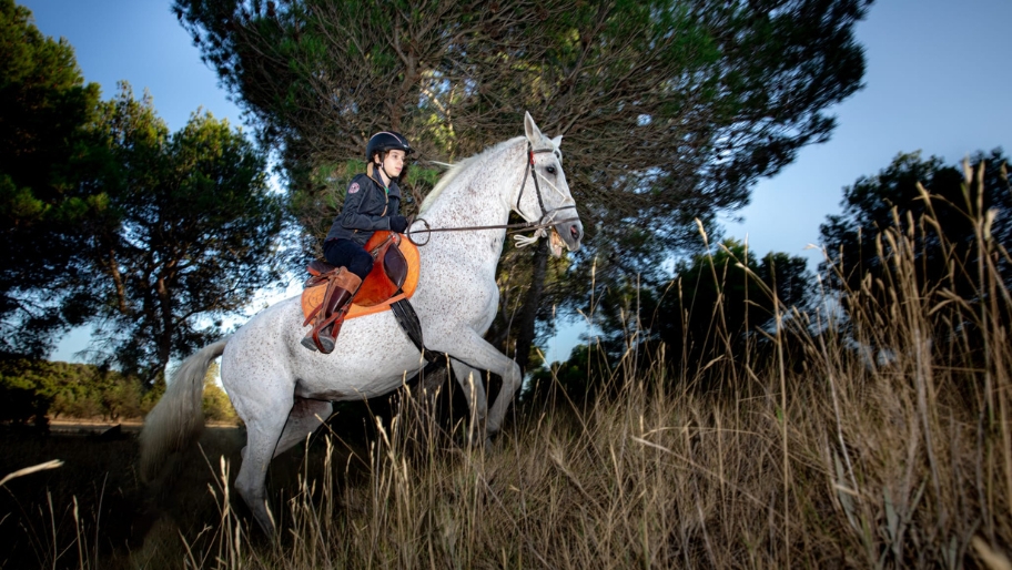 alquiler-caballos-zaragoza